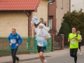 bieg (210).jpg