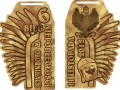 Bieg Niepodległości 2015.jpg